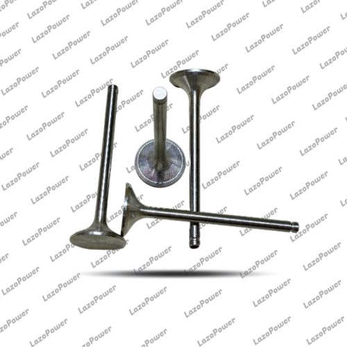 Intake Valve