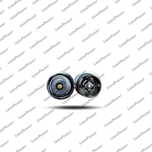 Diesel Engine Thermostat